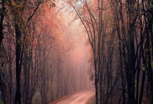 莱加内斯实现大逆转，士气高昂