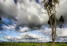 内蒙古男篮迅速崛起，备战重要挑战