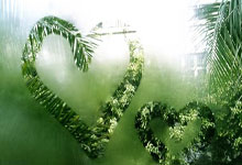 内蒙古男篮迅速崛起，备战重要挑战